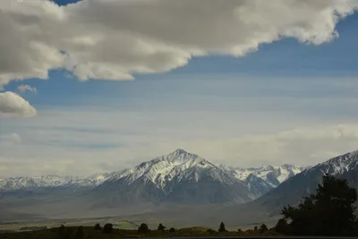 DSC_6611 (Large).JPG